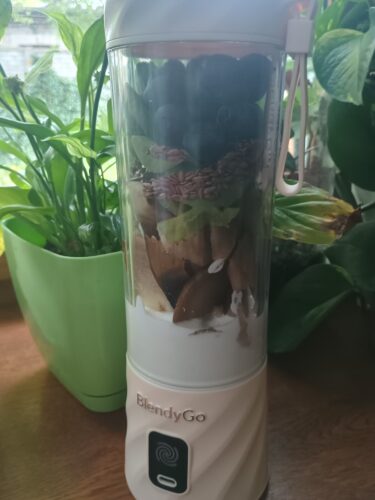 BlendyGo 3 photo review